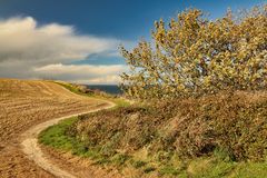 Spazierweg an der Steilküste