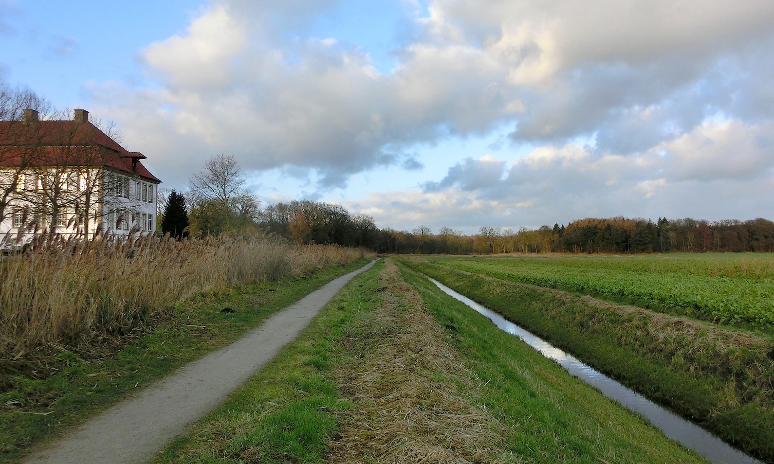 Spazierweg auf dem Lande