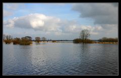 ~ Spazierweg durch's Wasser ~