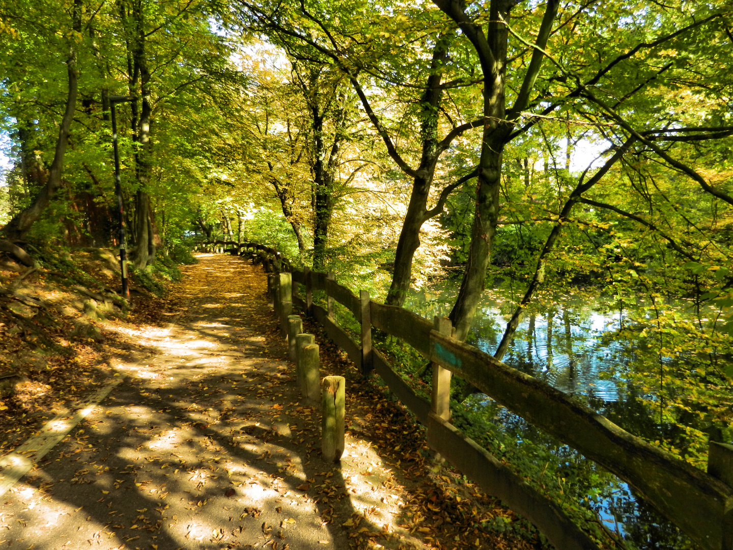 Spazierweg im Herbst