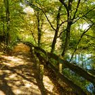 Spazierweg im Herbst