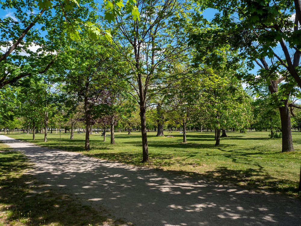 spazierweg im prater