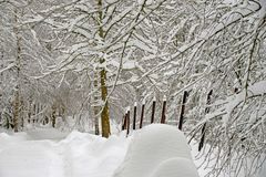 Spazierweg im Schnee.