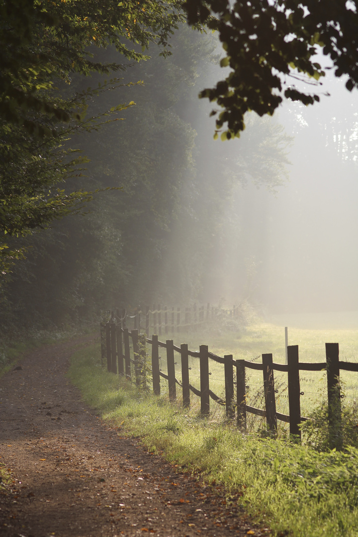 Spazierweg in Hebborn