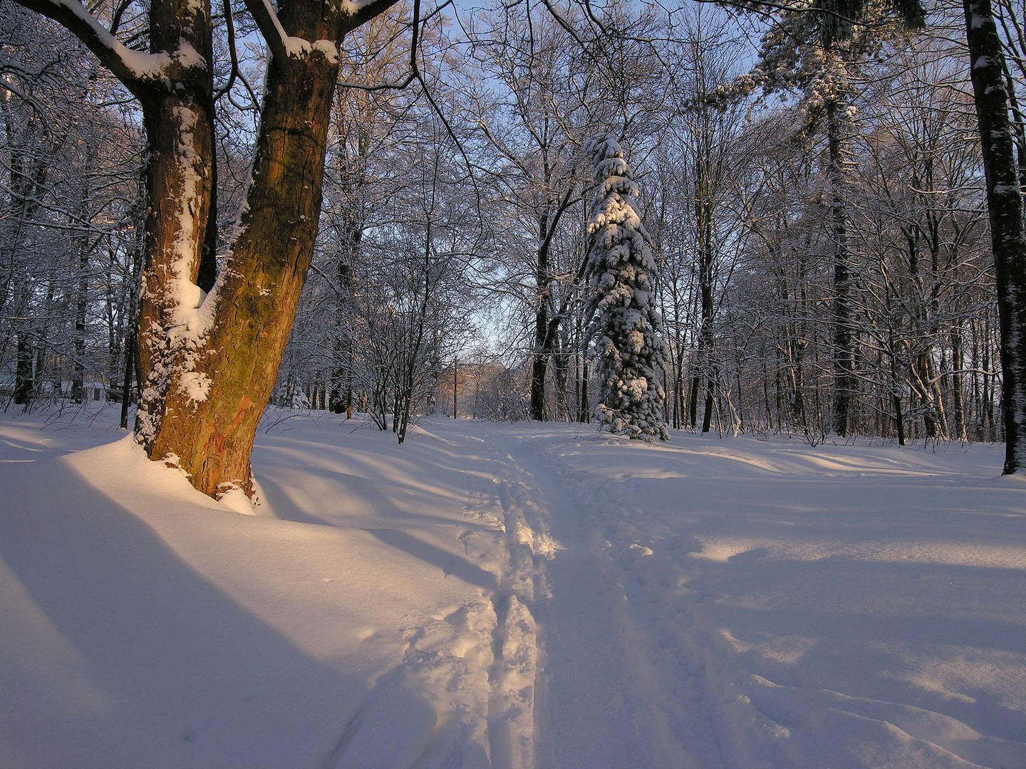 Spazierweg in Hohenstein-Er.