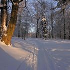 Spazierweg in Hohenstein-Er.