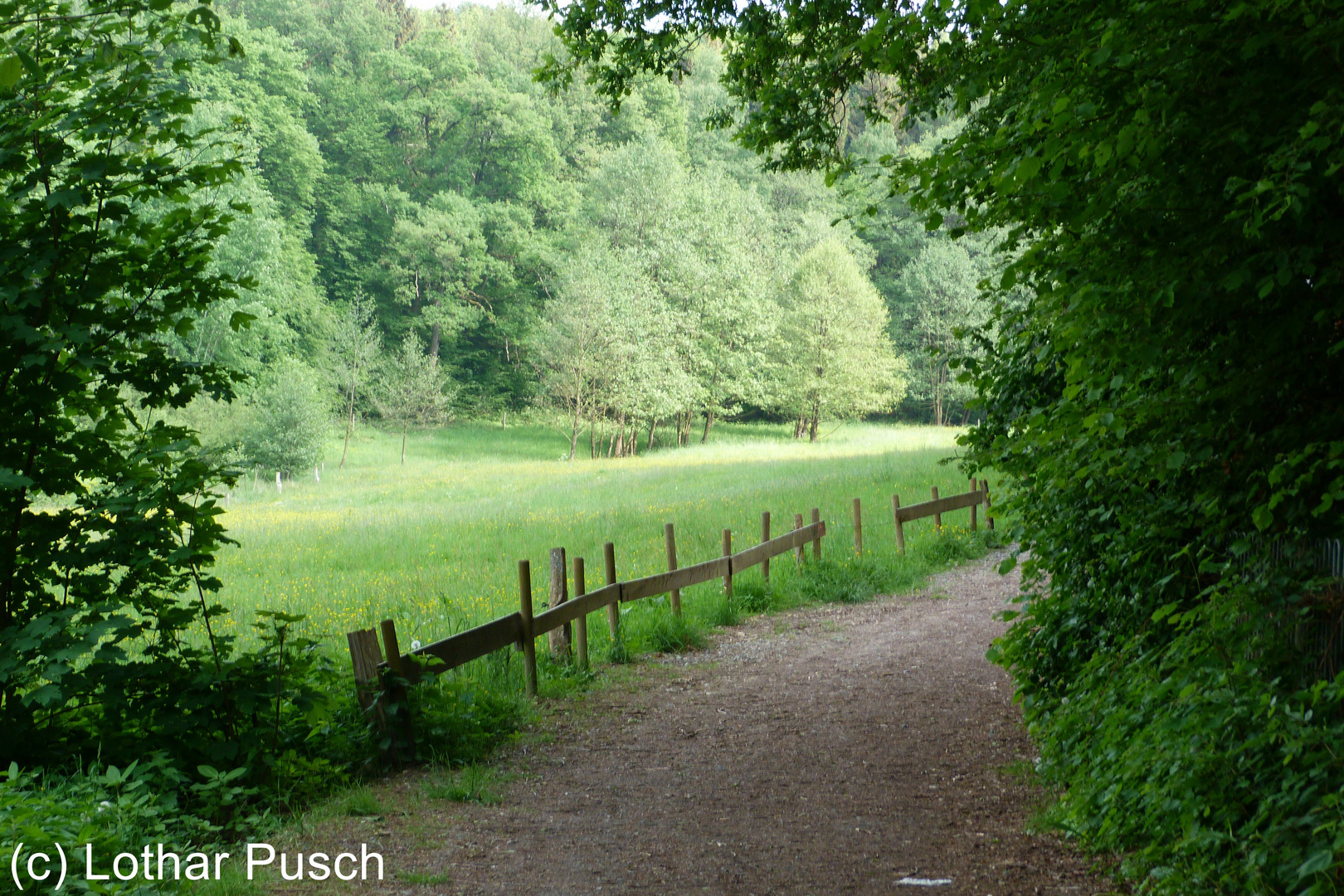 Spazierweg in Waldbröl