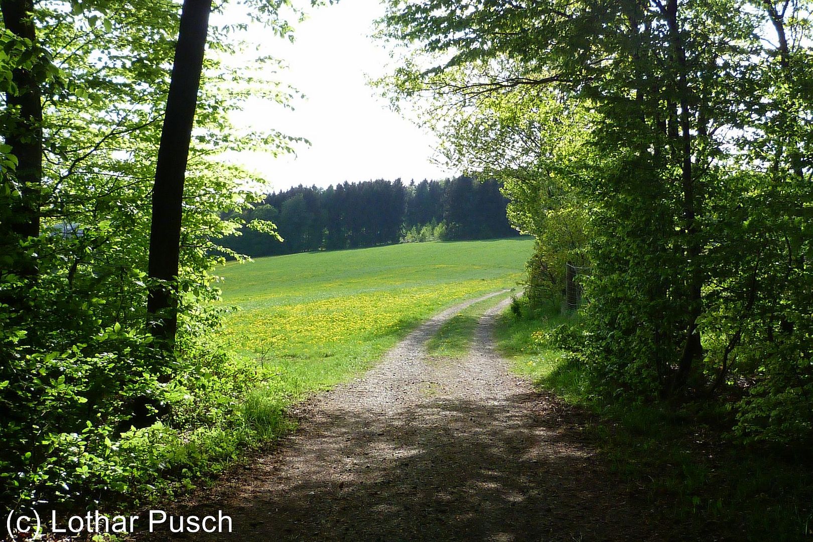 Spazierweg oberhalb von Waldbröl-Wilkenroth