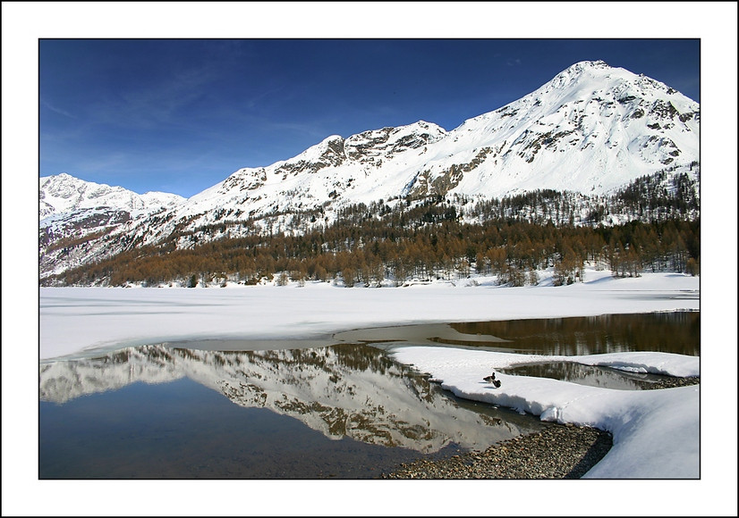 Specchi d'acqua