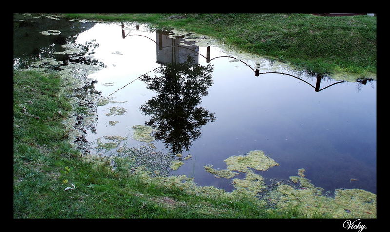 Specchio della natura.