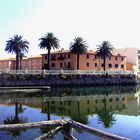 Specchio delle mie brame: Orbetello-le case (e le palme) del reame ....