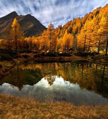 Specchio, specchio….