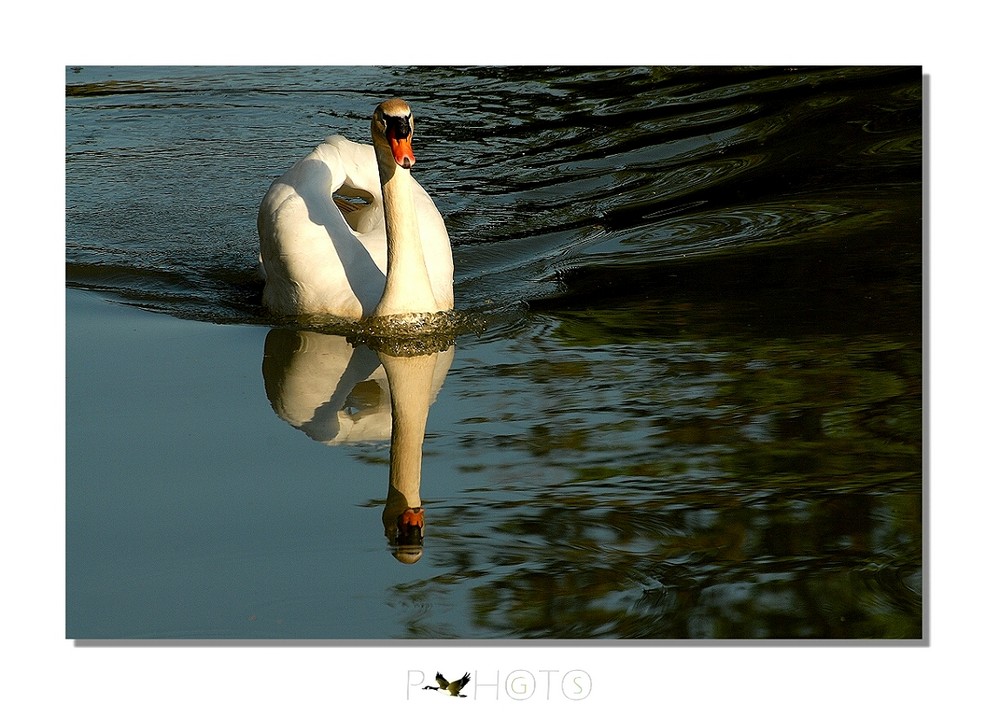 Specchio................d'acqua.