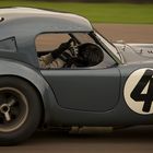 "Special for Hot Chill" : Cobra racing....