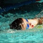 Special Olympics - Natation à Lugano - Nage