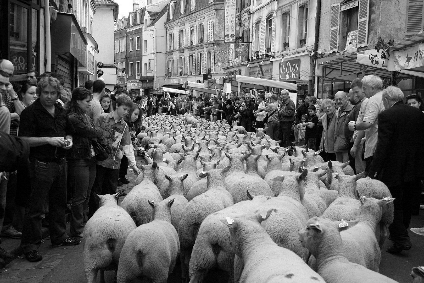 spécialité paris Ile de France