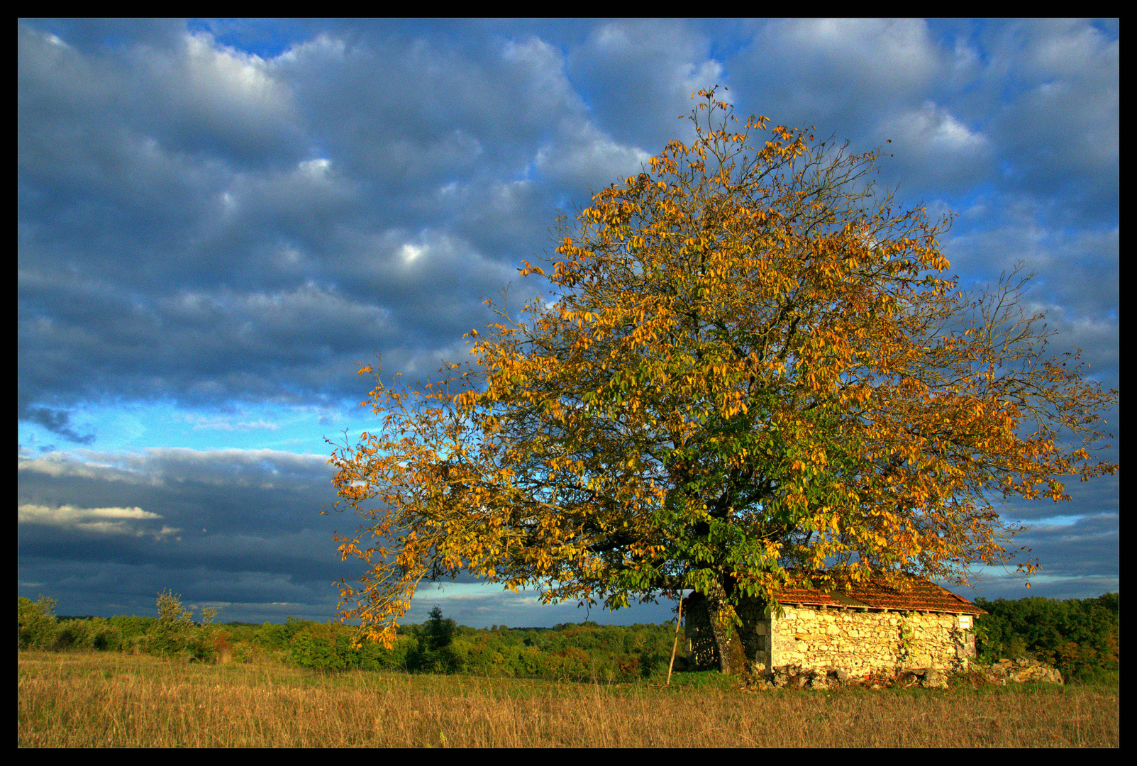 Spectacle d'automne