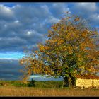 Spectacle d'automne