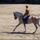 Spectacle équestre