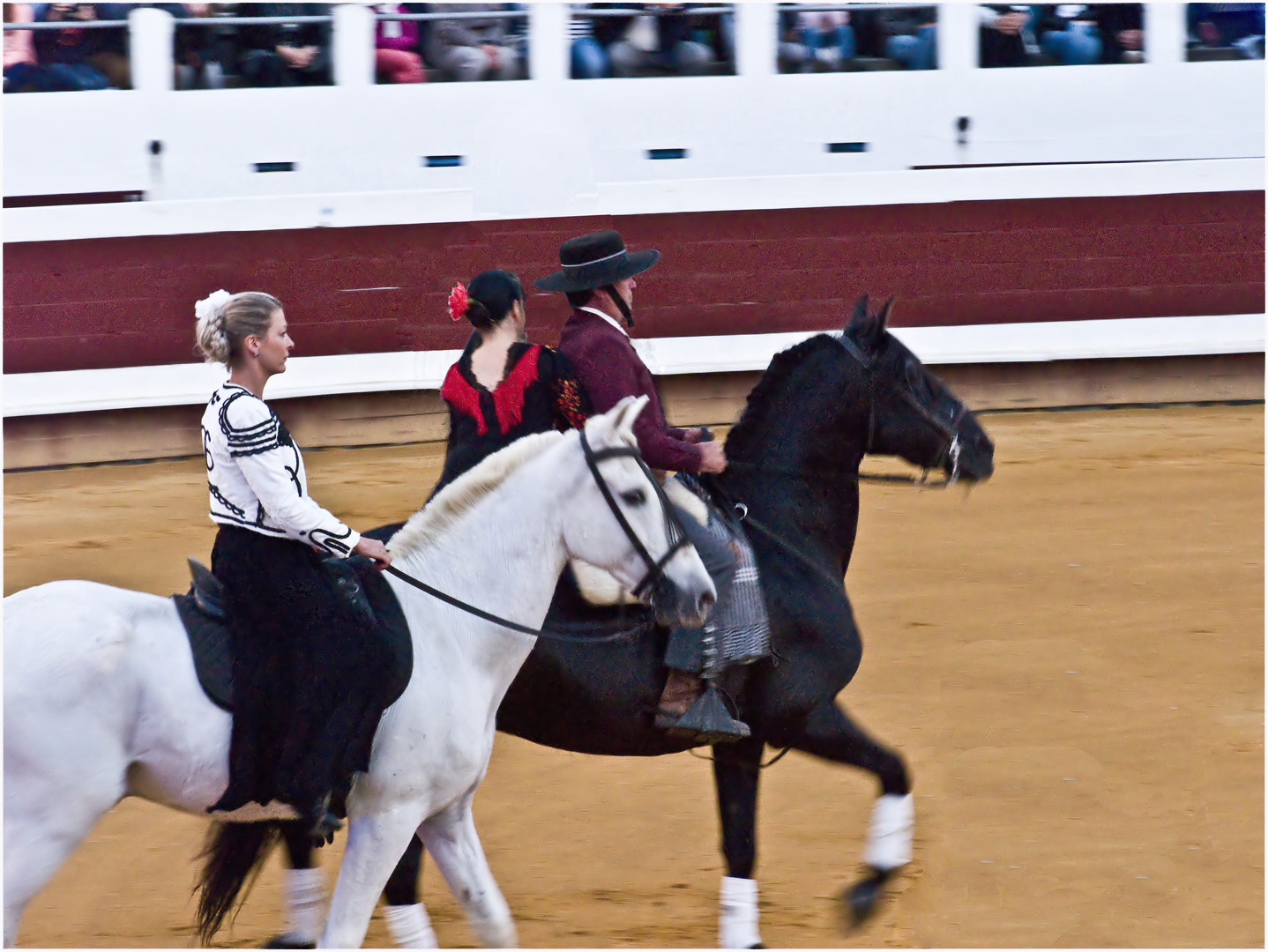  Spectacle équestre aux arènes de Dax