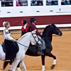  Spectacle équestre aux arènes de Dax