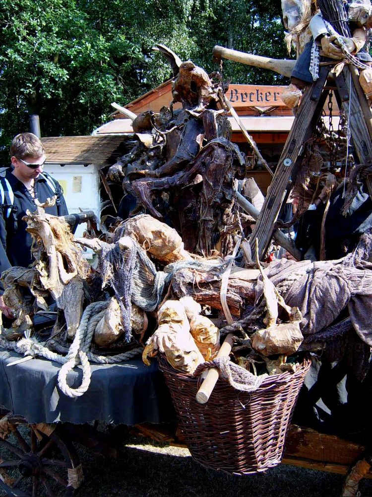 Spectaculum Hohenwestedt Juni 2011