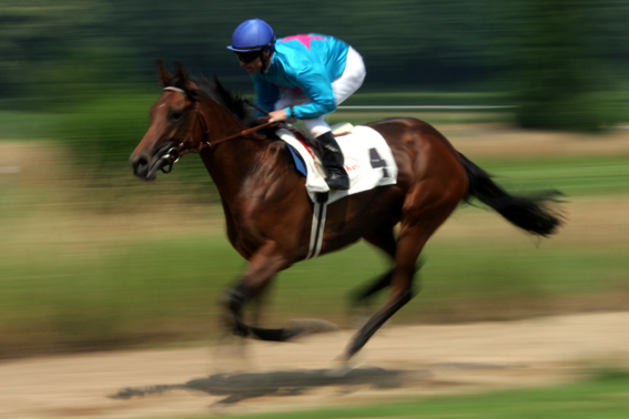 Speed beim Aufgalopp