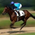 Speed beim Aufgalopp