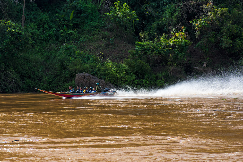 Speed Boat