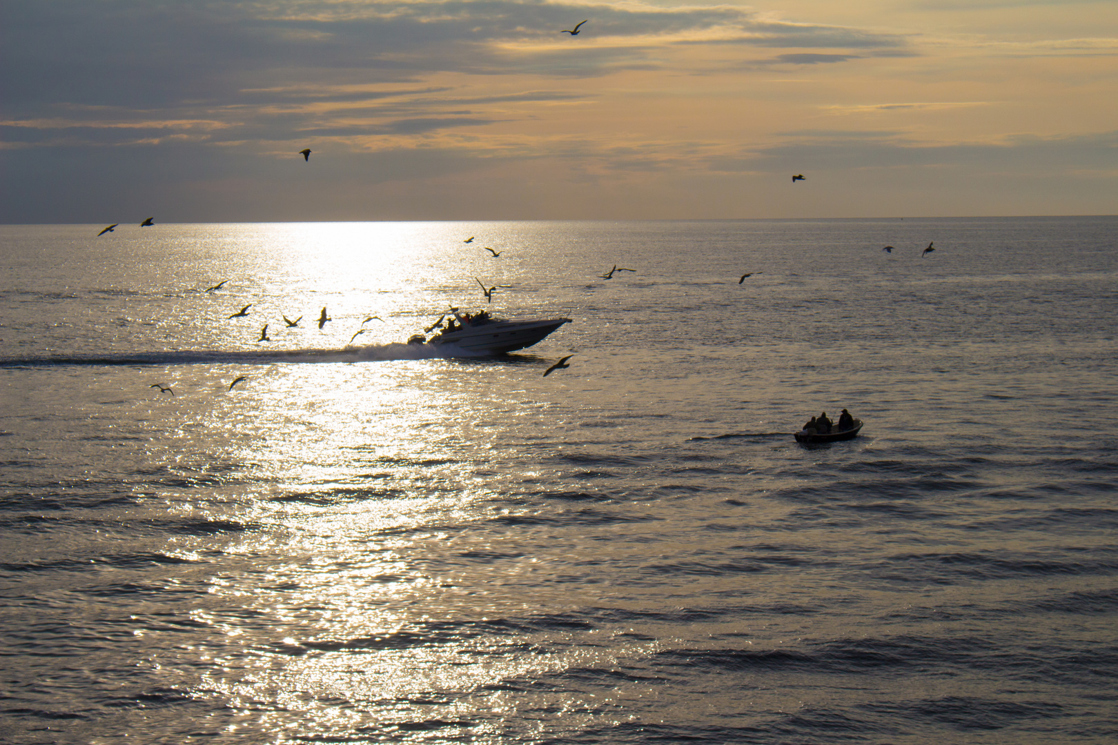 Speed boat