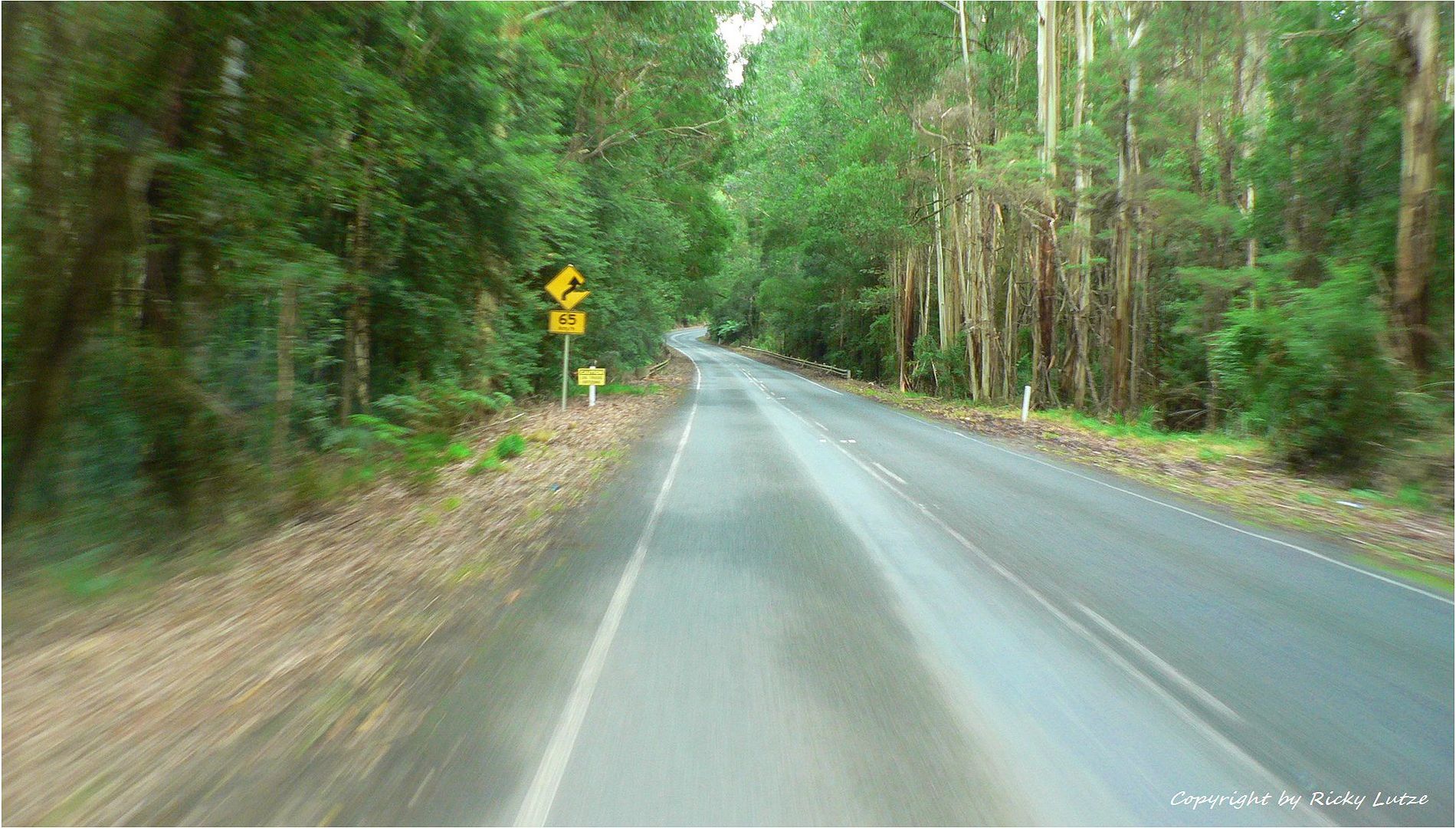 * Speed / Great Ocean Rd at Lavers Hill *