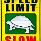 Speed Limit