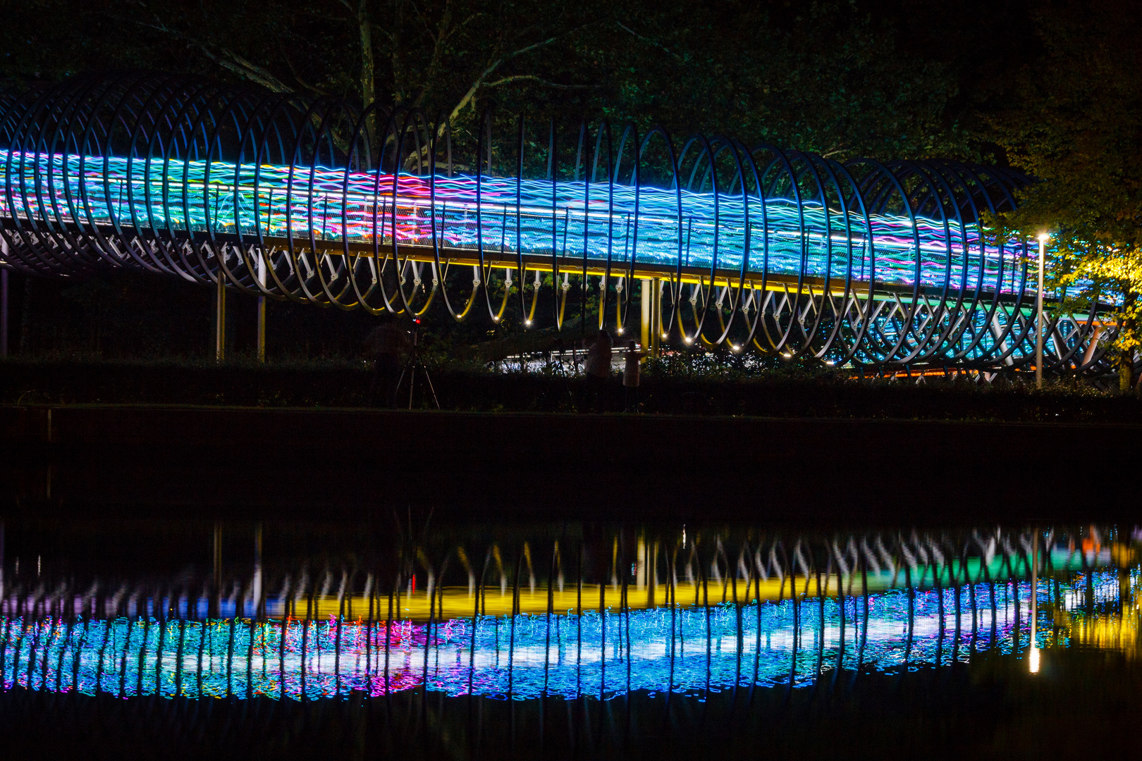 Speed of light meets the slinky Springs to fame