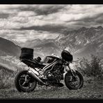 .... Speed Triple im Sommer ....