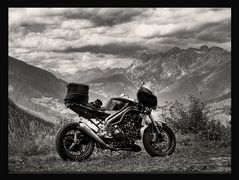 .... Speed Triple im Sommer ....