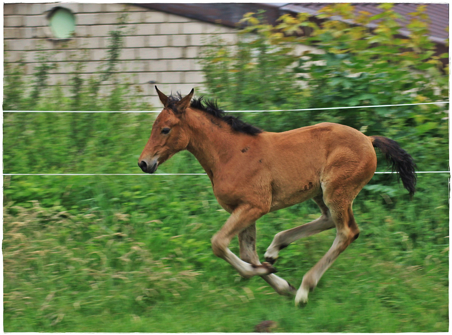 Speed und Lebensfreude