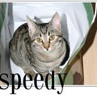 Speedy im Sack - 2