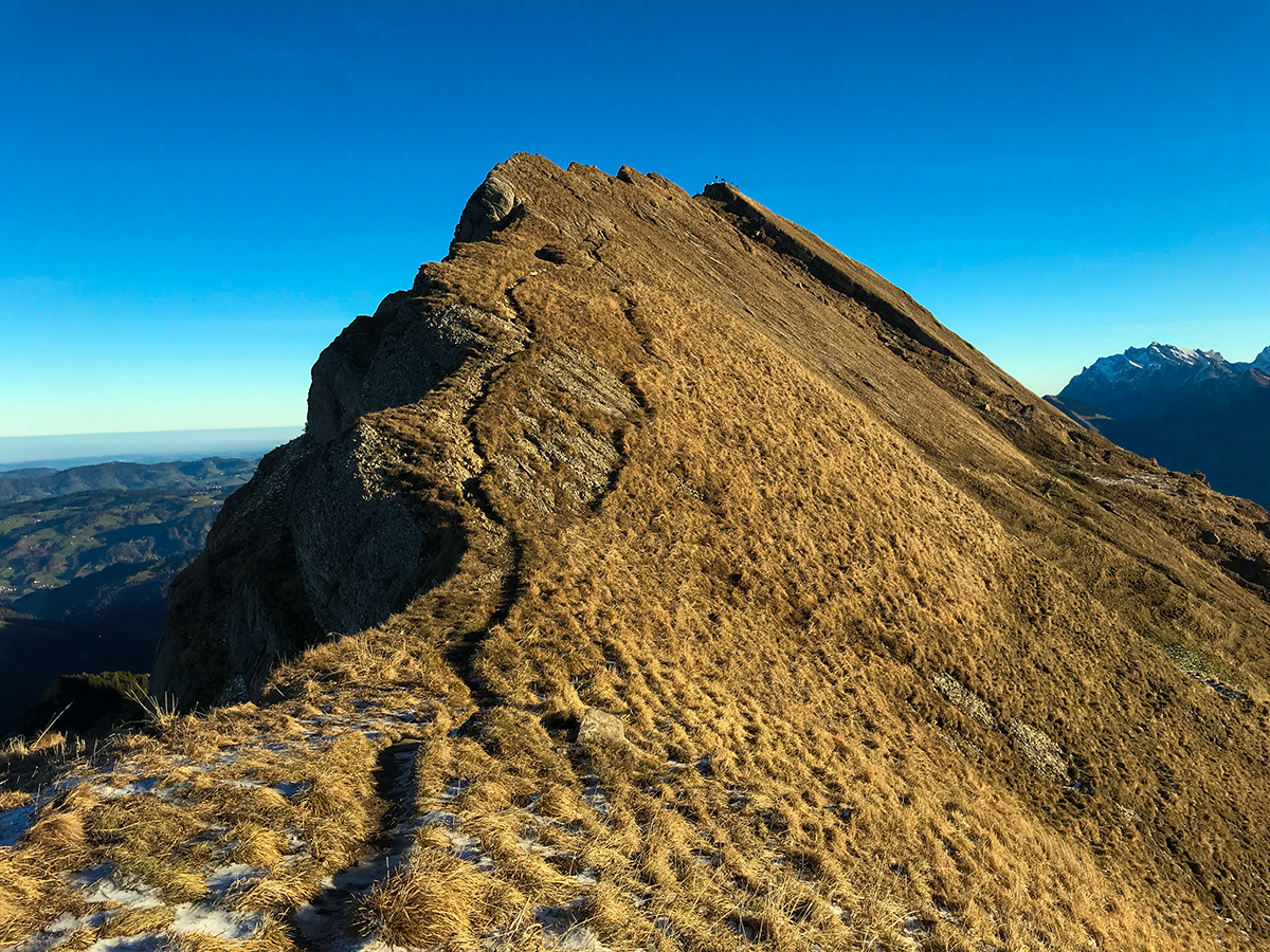 Speer und Säntis im Hintergrund