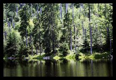 Speichersee an der Martinsklause II