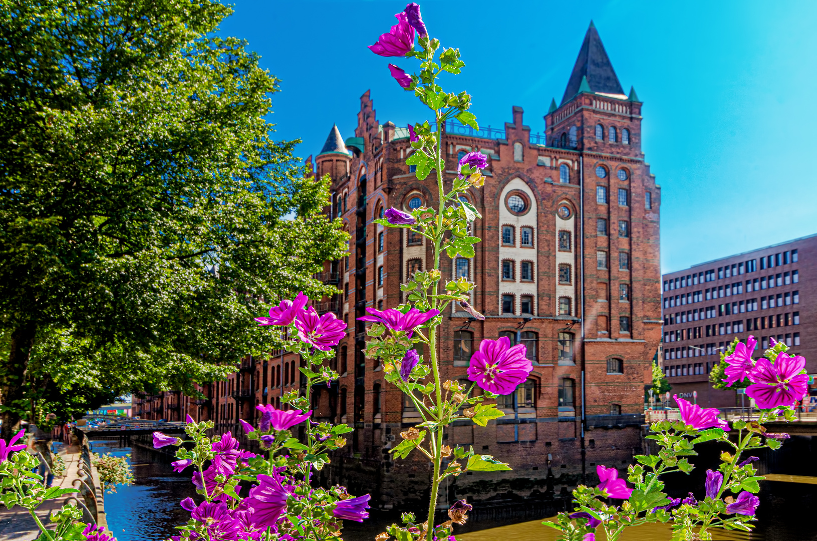 speicherstadt blumen