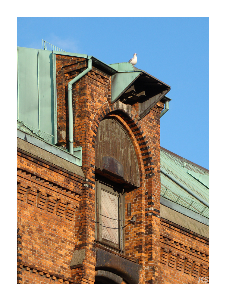 Speicherstadt-Dach