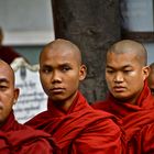 speisung der 1200 mönche III, amarapura, burma 2011