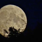 ... spektakulärer Mondaufgang im September...
