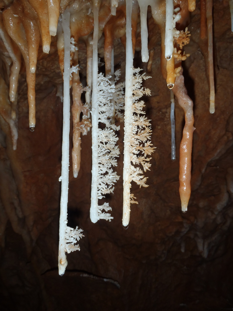 Speleotemi. Grotta Su Canale Superiore, Baunei