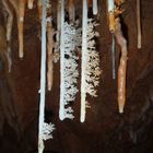 Speleotemi. Grotta Su Canale Superiore, Baunei