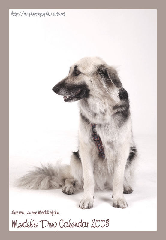 Spendenkalender "Model&Dog 2008"