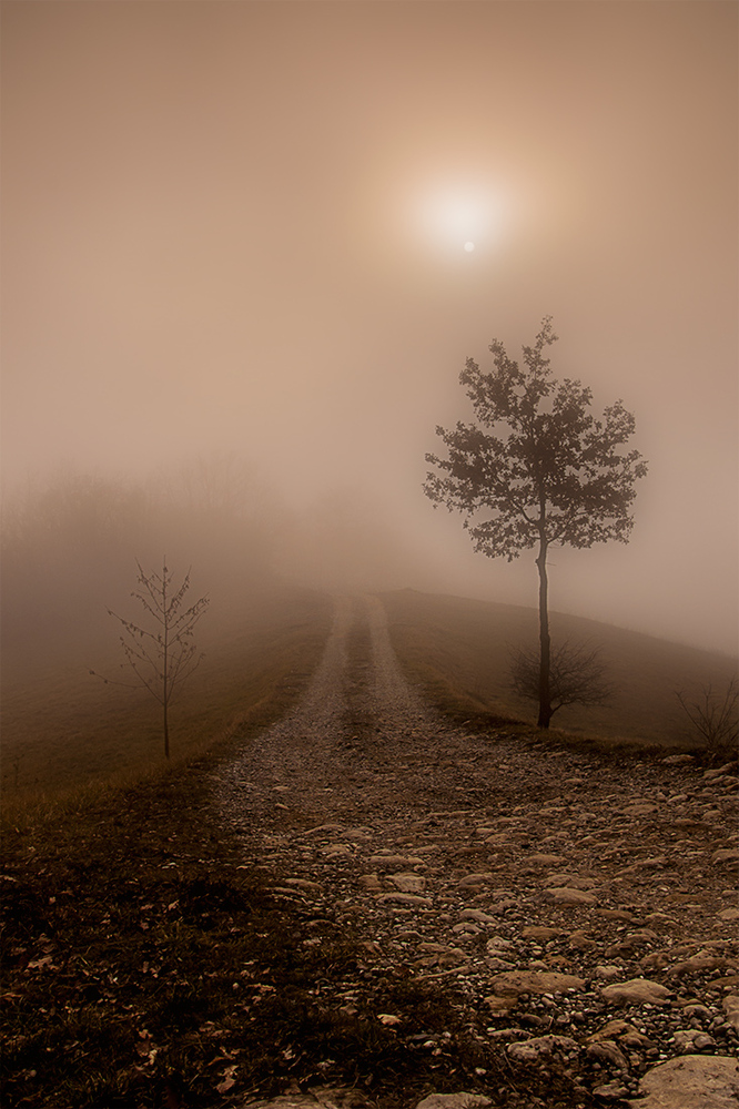 speranza foto % immagini paesaggi via fog foto su fotocommunity speranza foto % immagini paesaggi via fog foto su fotocommunity