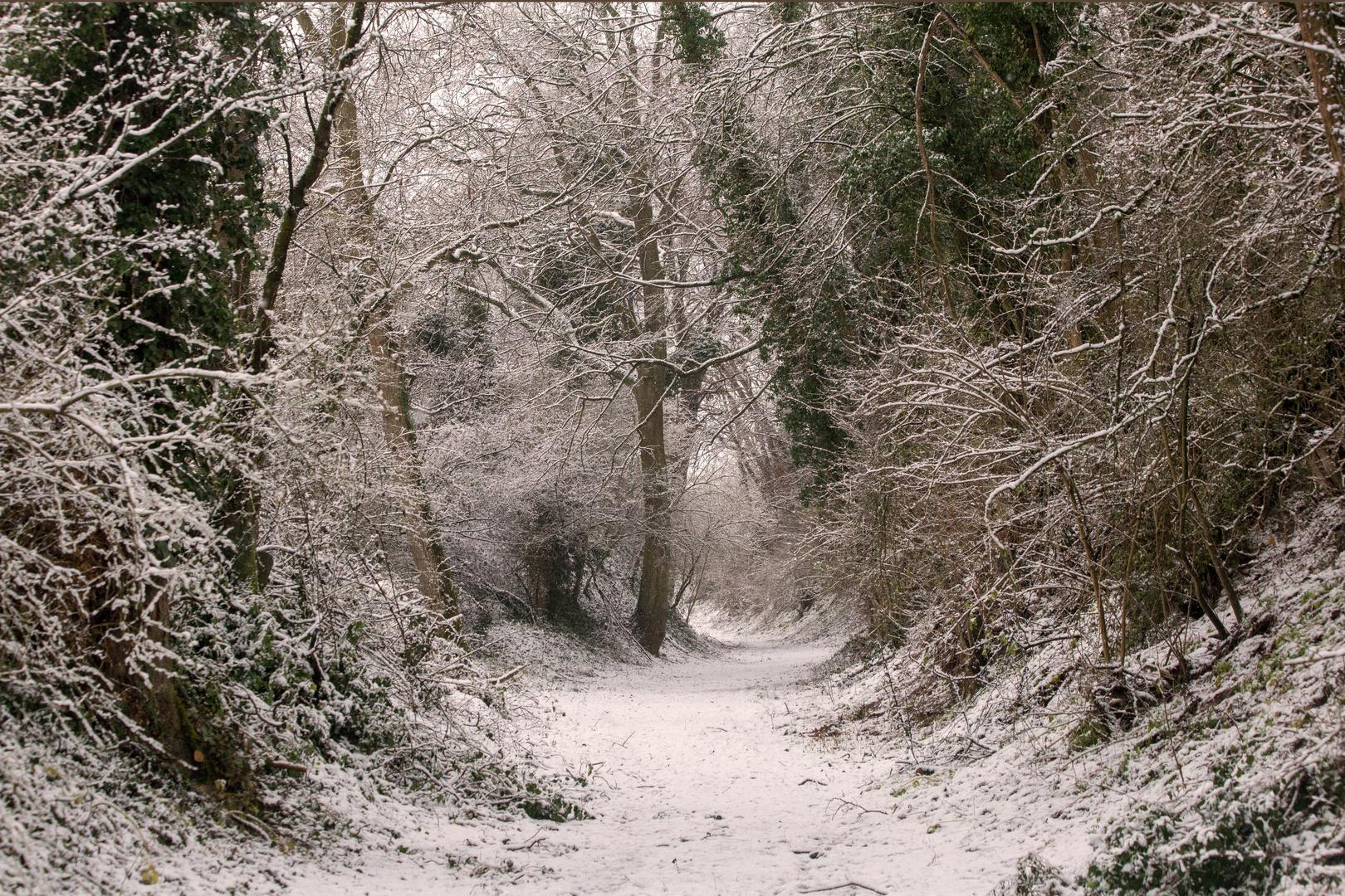 Spermelhohl im Winter