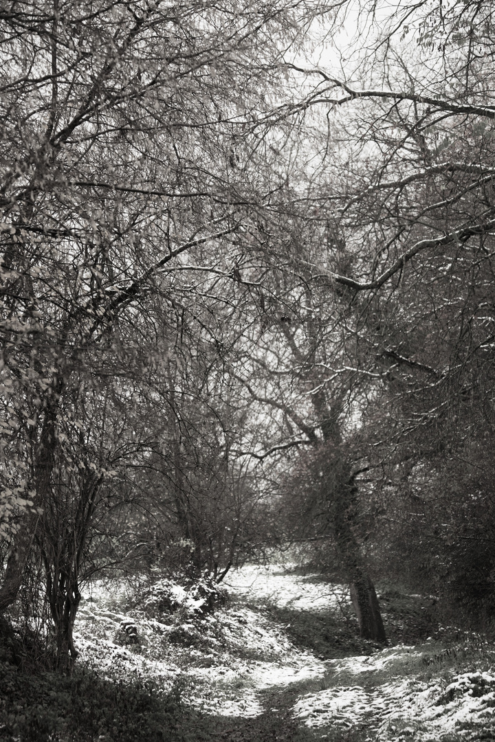 Spermelhohle im Winter