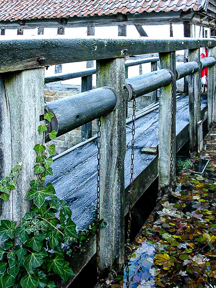 Sperrwehr, leicht angefrostet